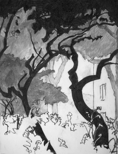 Dancing Trees;
charcoal on paper, 24 x 18" Dancing Trees;
charcoal on paper, 24 x 18"